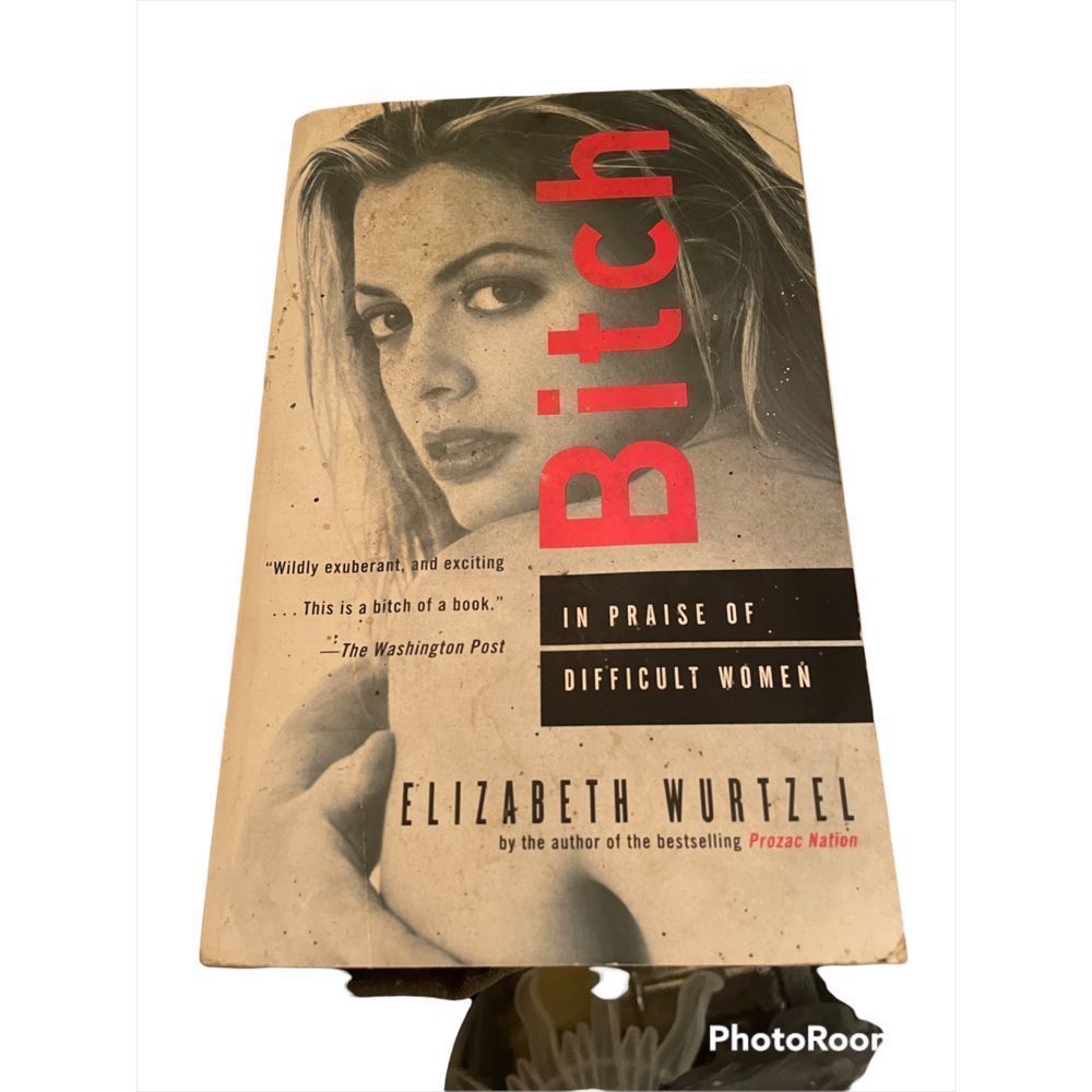 A book in praise of difficult women